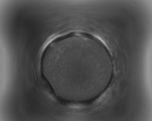 X0000086030199200703301101