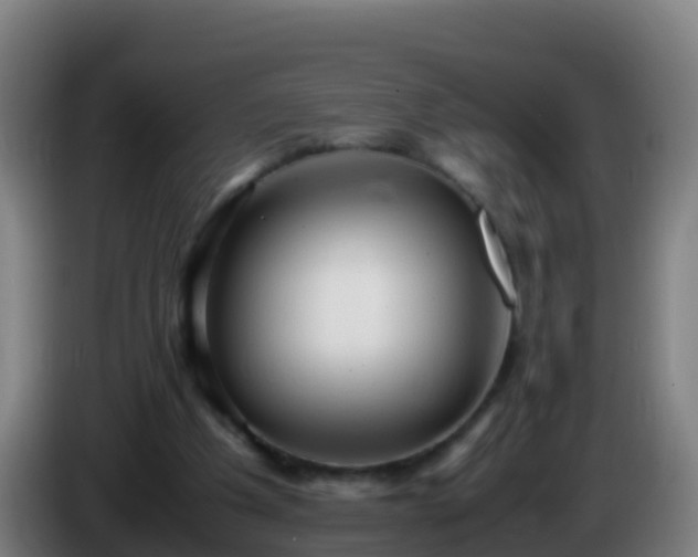 X0000086030201200703301101