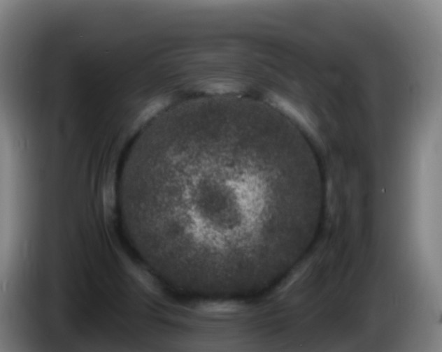 X0000086030202200703301101