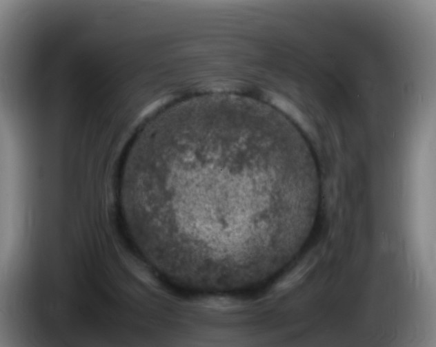 X0000086030203200703301101