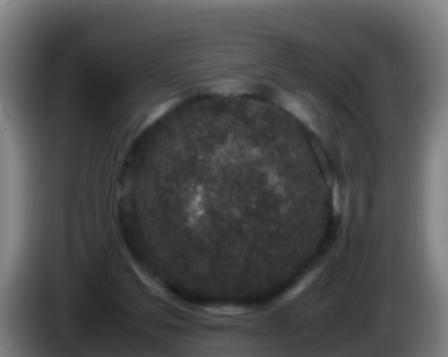 X0000086030205200703301101