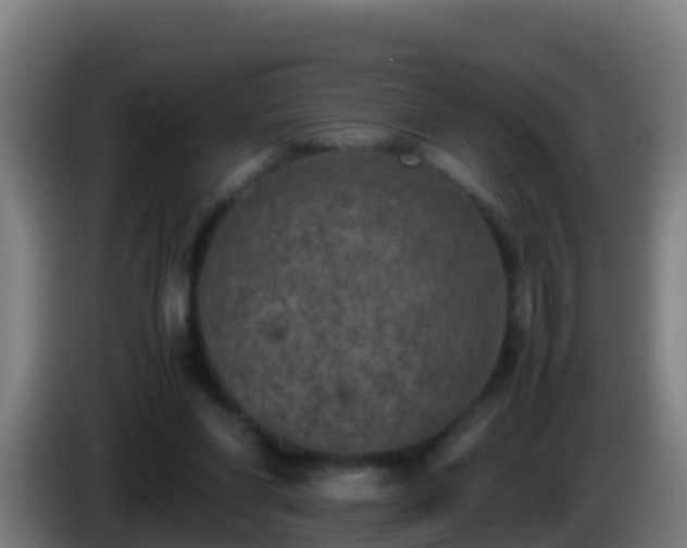 X0000086030206200703301101