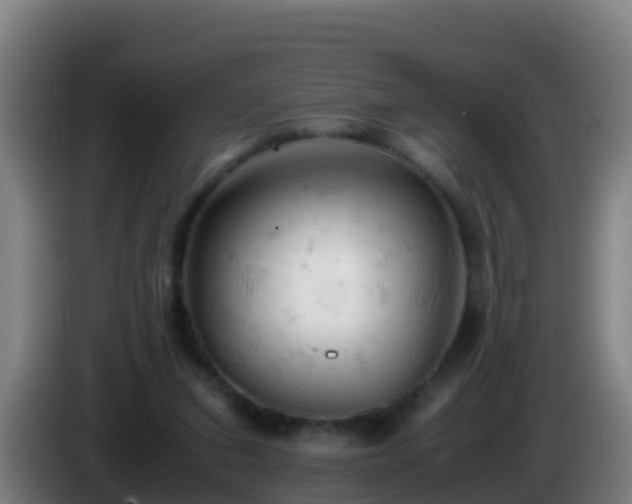 X0000086030207200703301101