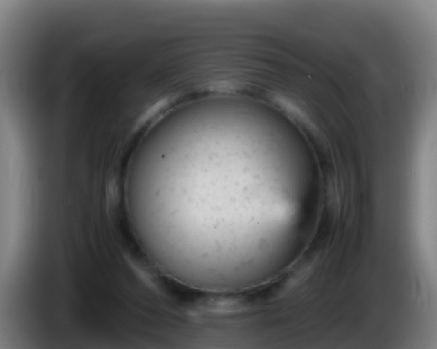 X0000086030208200703301101