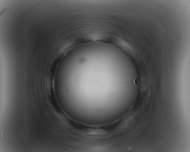 X0000086030210200703301101