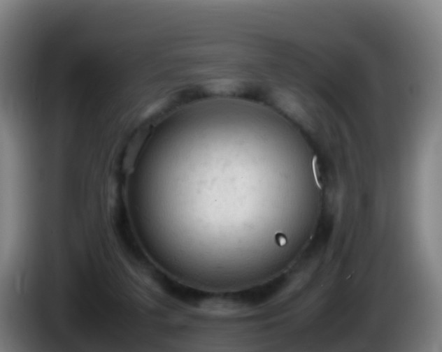 X0000086030211200703301101