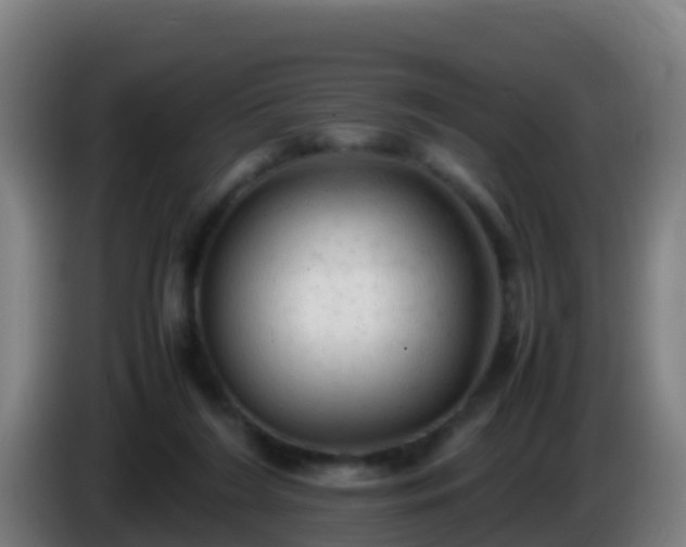 X0000086030212200703301101