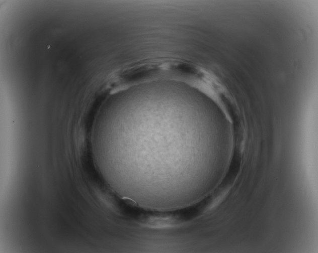 X0000086030213200703301101