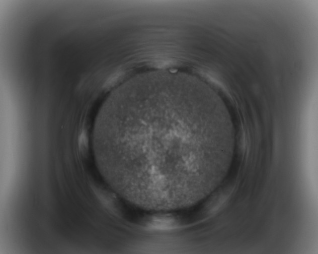 X0000086030214200703301101