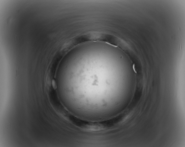 X0000086030215200703301101