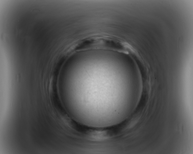 X0000086030217200703301101