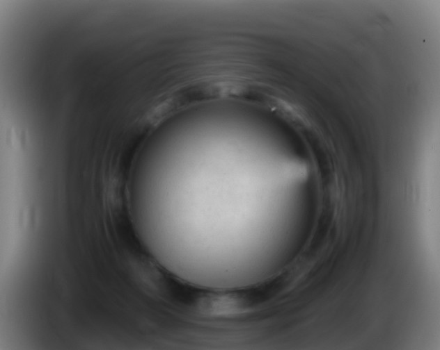 X0000086030218200703301101