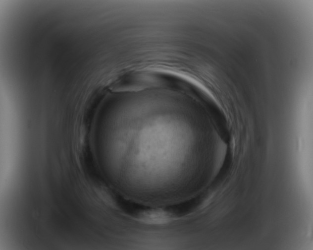 X0000086030219200703301101