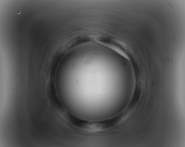 X0000086030221200703301101