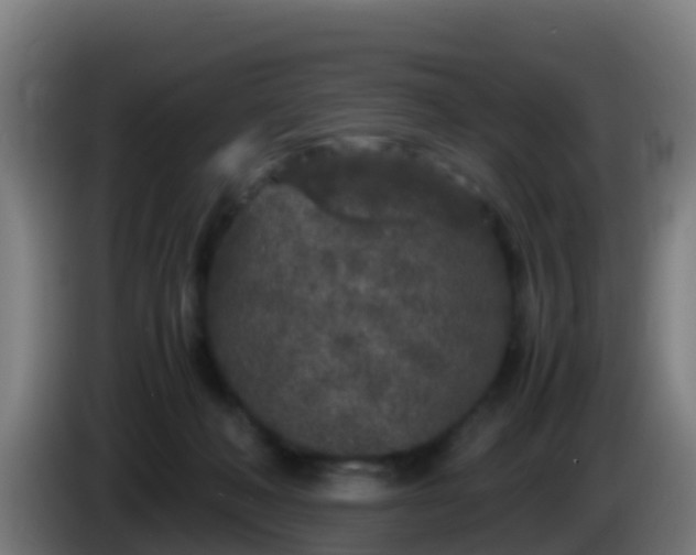 X0000086030222200703301101