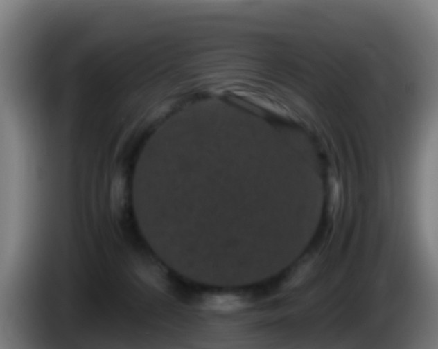 X0000086030224200703301101