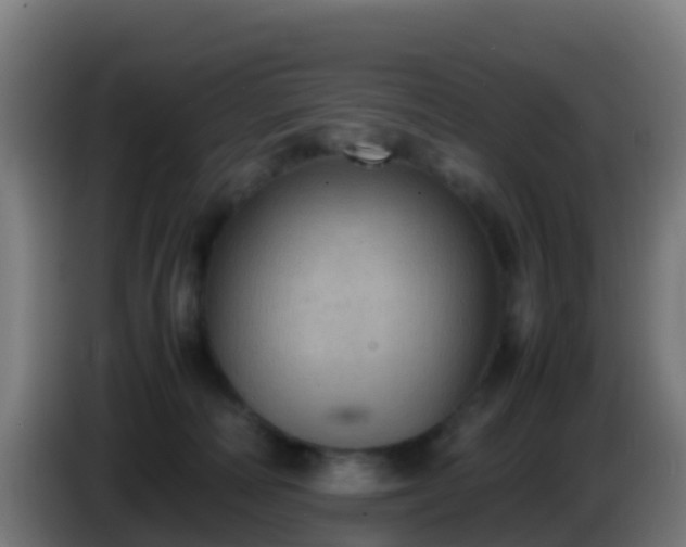 X0000086030226200703301101