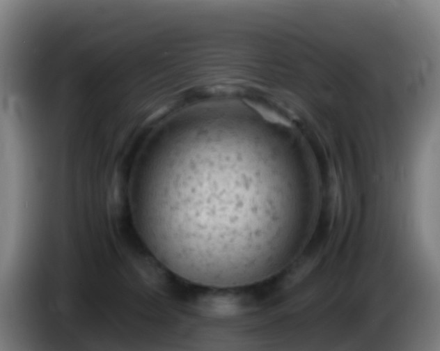 X0000086030228200703301101