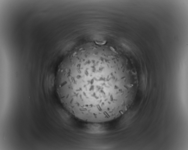 X0000086030230200703301101