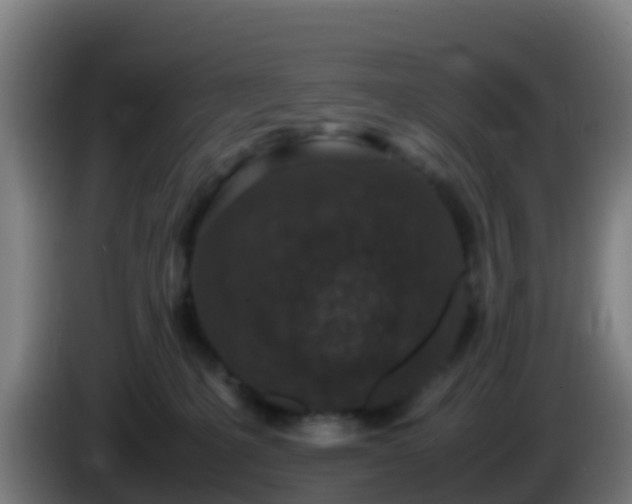 X0000086030231200703301101