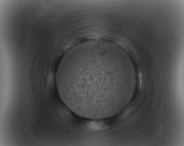 X0000086030232200703301101