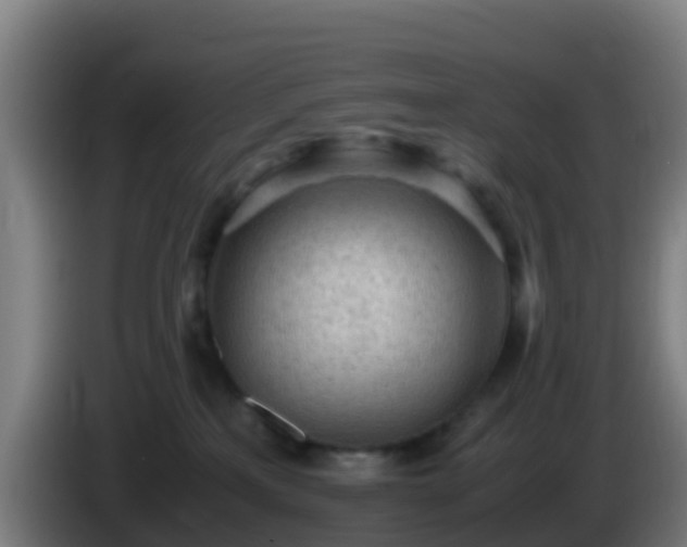 X0000086030233200703301101