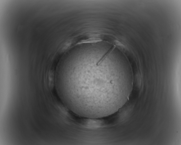 X0000086030234200703301101