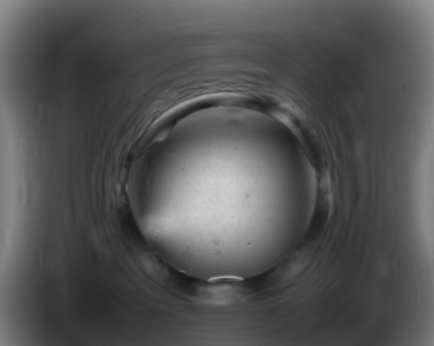 X0000086030237200703301101