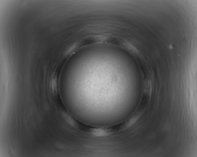 X0000086030238200703301101