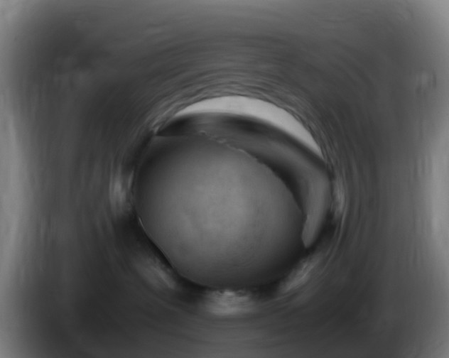 X0000086030239200703301101