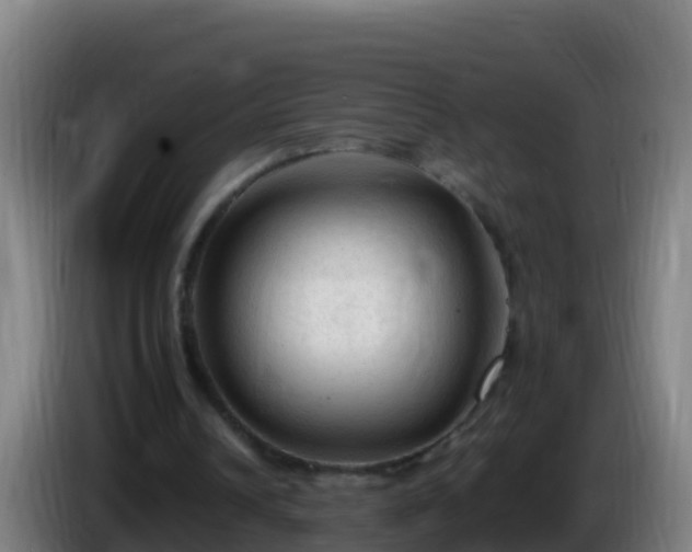 X0000086030242200703301100