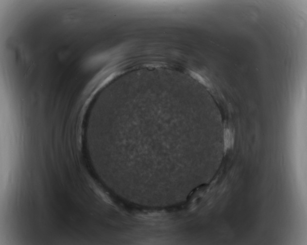 X0000086030243200703301100