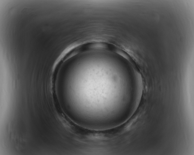 X0000086030244200703301100