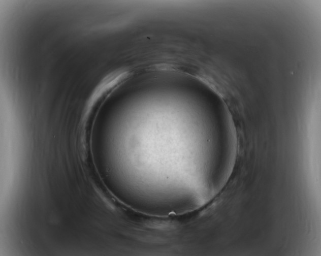 X0000086030245200703301100