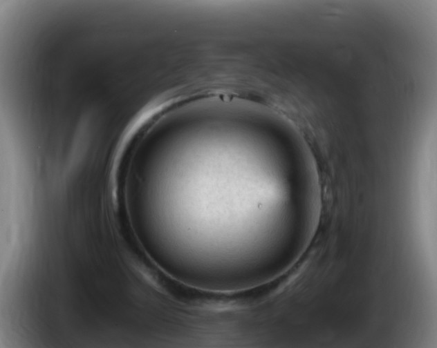 X0000086030246200703301100