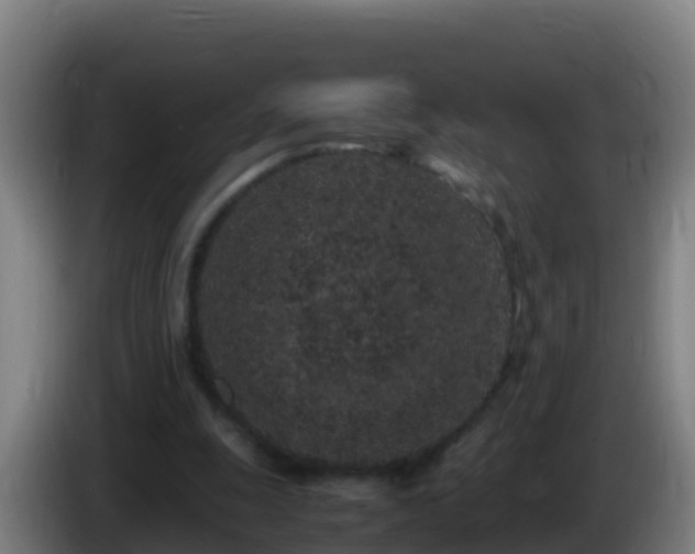 X0000086030247200703301100