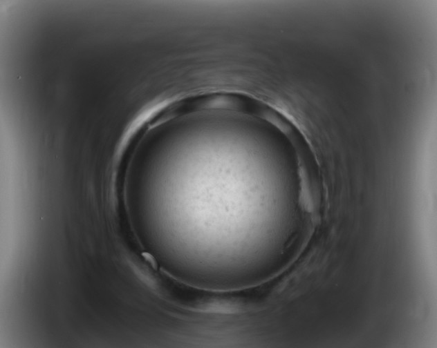 X0000086030248200703301100