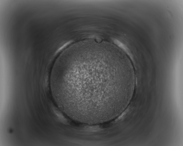 X0000086030249200703301100