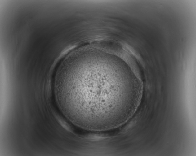 X0000086030250200703301100