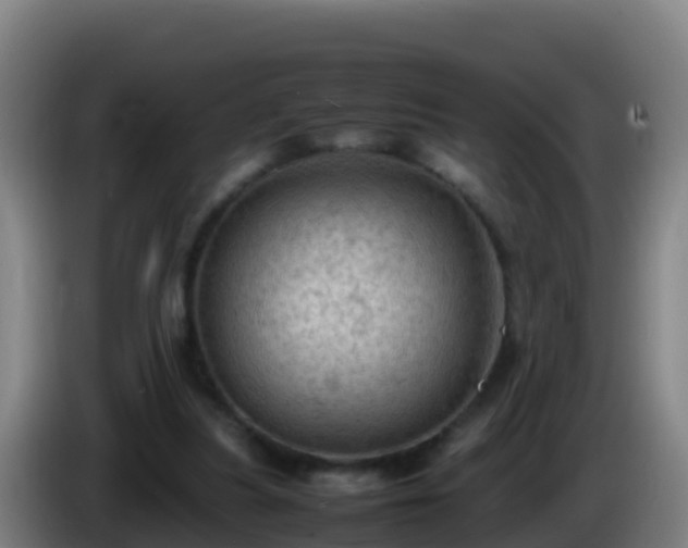 X0000086030251200703301100