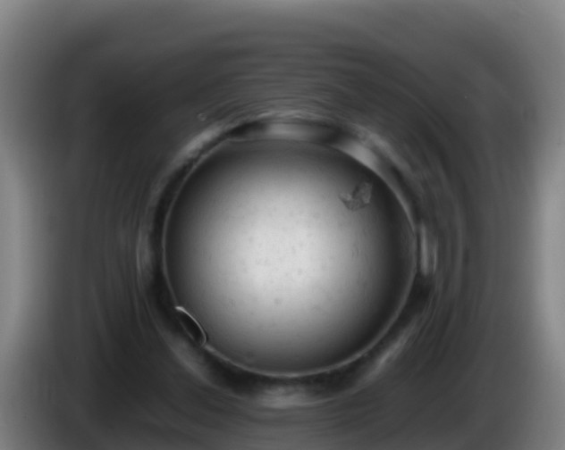 X0000086030252200703301100