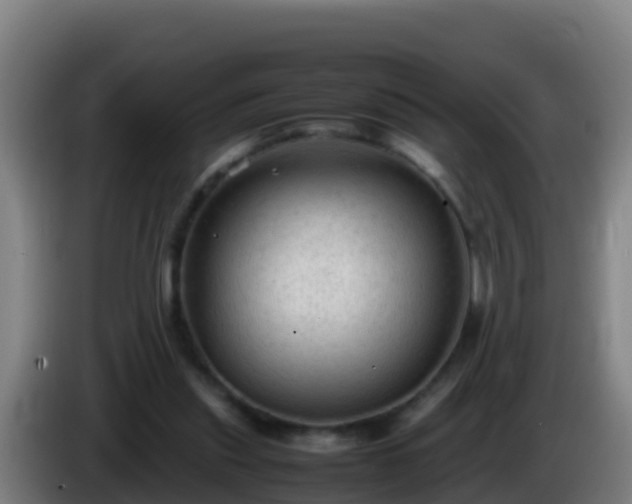 X0000086030253200703301100