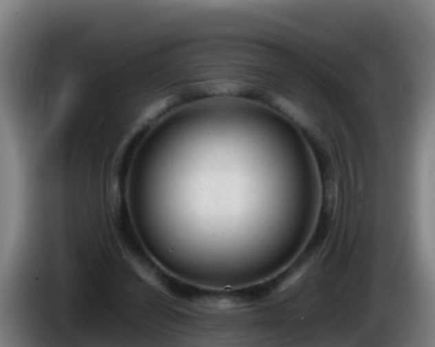 X0000086030254200703301100