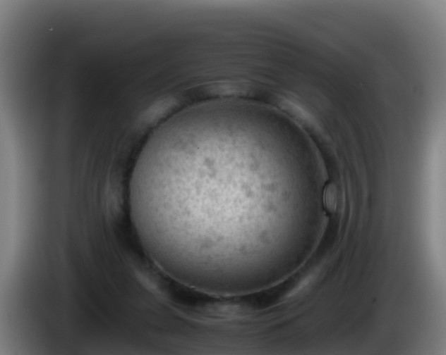 X0000086030255200703301100