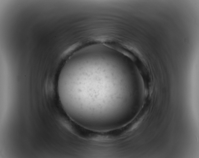 X0000086030256200703301100