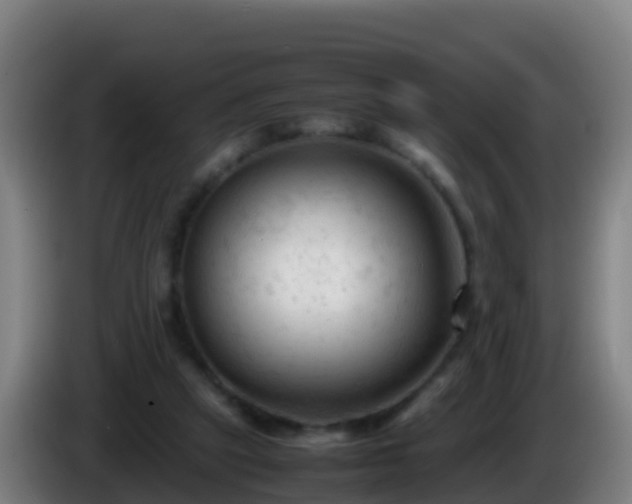 X0000086030257200703301100