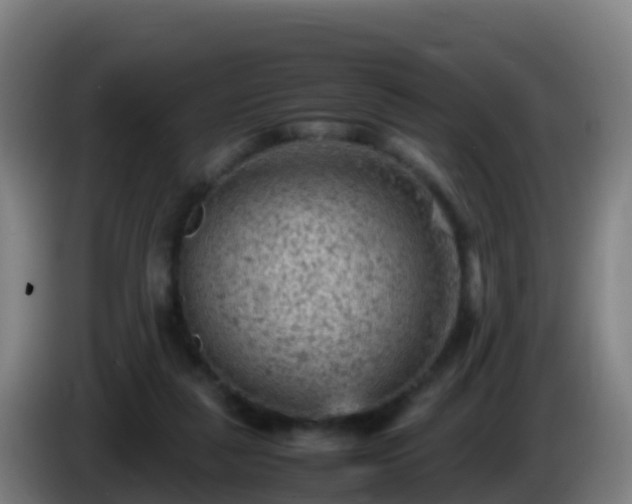 X0000086030259200703301100