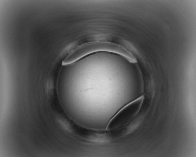 X0000086030260200703301100