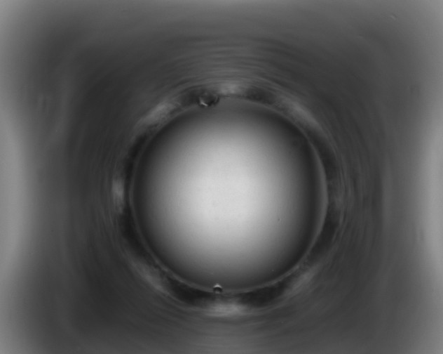 X0000086030262200703301100