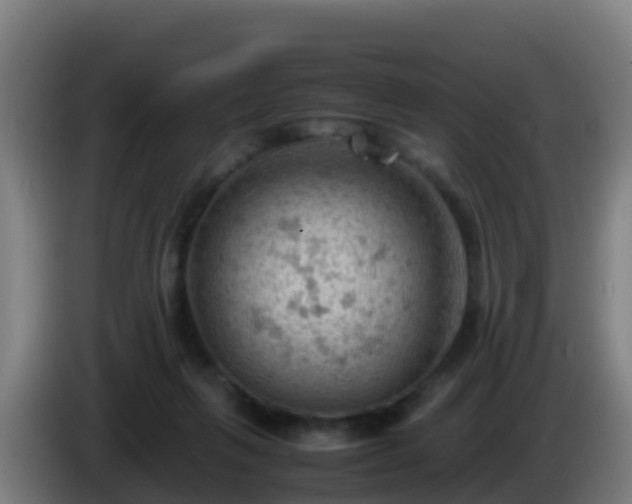 X0000086030263200703301100